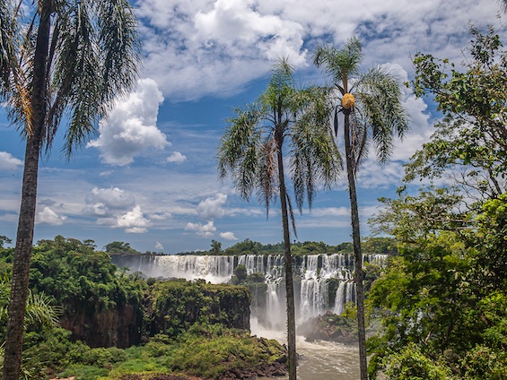 Iguazu Falls © Luis Segura